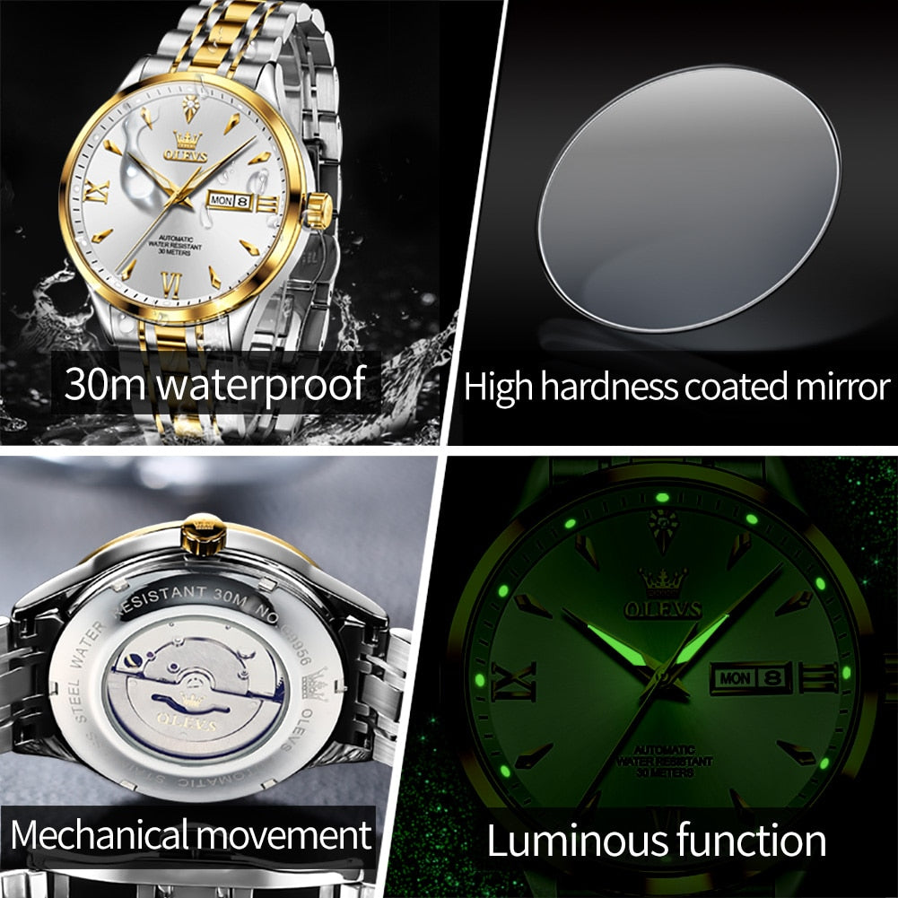 OLEVS 9956 - Luxury Automatic Mechanical Watch